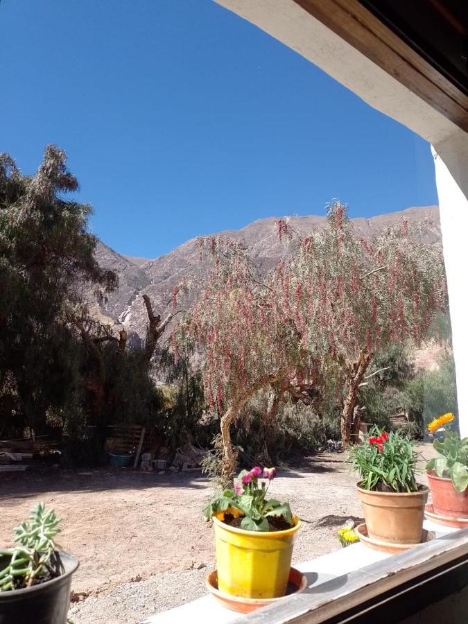 Cabanas Apu Маймара Экстерьер фото